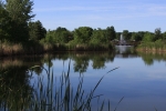 Lasts days of Spring