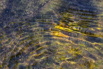 Sun on the Crane River - Bruce Peninsula