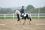 SBM_003375