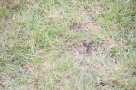 SBM_05808