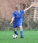 Ibis Under 8's (29/11/25) portfolio