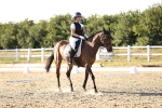 SBM_007852