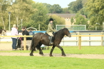 SBM_69347