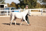 SBM_11383