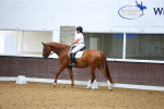 SBM_019260