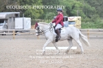 BPP_0388