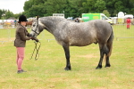 SBM_04051
