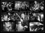 Wilko Johnson_2013_A2 Montage