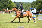 Cls 25 Snr British Novice and 90cm portfolio