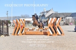 BPP_6201