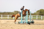 SBM_03836