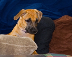 AnimalsCreatures _0075