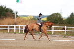SBM_009238