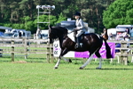 SBM_12137
