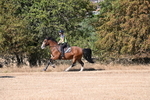 WJ6_7577