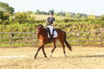 SBM_000541