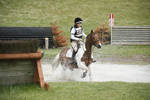 BVHT 140517  IXC -450