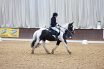 SBM_010591