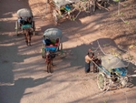 Horse taxis