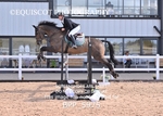 BPP_5975