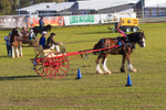 Harness Driving Challenge 18. 0A3A9720