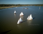 DJI_0028