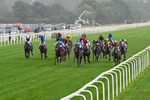 200826-Race 1-Libertango-0197