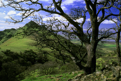 Sutter Buttes portfolio
