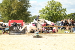 SBM_41344
