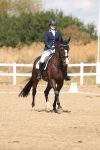 SBM_009011
