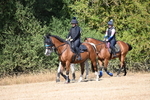 WJ6_8340