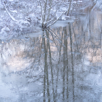 YOUNG'S CREEK - PORT RYERSE