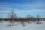 Kaamanen to Utsjoki, Lappi, Finland