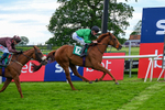 310526-Race 7-Annastarzy-9440