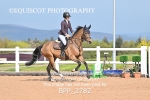 BPP_2782