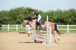 SBM_011728