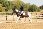 SBM_000366