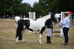 WJ6_4380