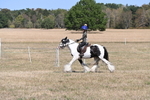WJ6_8830