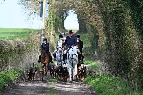 WJ7_7653