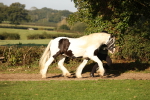 SBM_58673