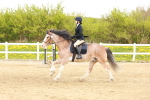 SBM_004180