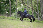 WJ6_1447