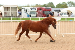 SBM_16503