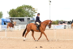 Class 217 - Ridden Retired Racehorse portfolio
