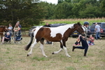 WJ6_5616