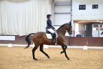 SBM_006931