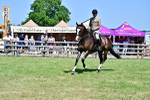 SBM_18160