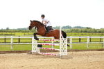SBM_002335