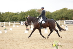 SBM_006779